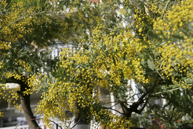 a0025490_9111494.jpg