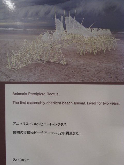 d0117893_21504775.jpg
