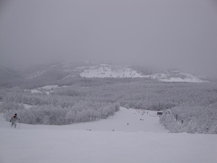f0075595_23174361.jpg