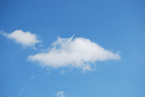 c0124100_1450397.jpg