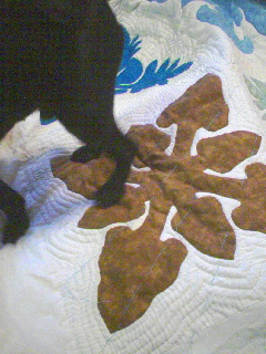 c0023406_820957.jpg