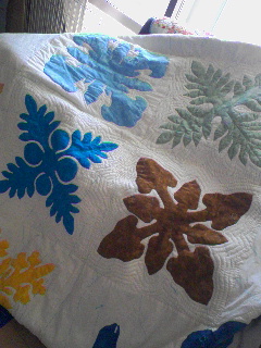 c0023406_84579.jpg