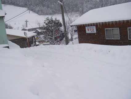 09.02.17(火) 久しぶりの降雪_a0062810_15545918.jpg