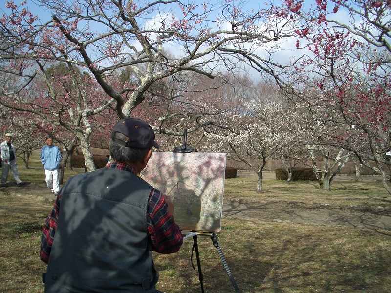 岩本山はウメが盛りです_f0141310_21124717.jpg