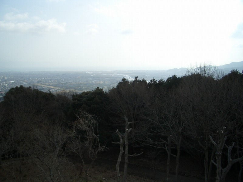 岩本山はウメが盛りです_f0141310_21141748.jpg