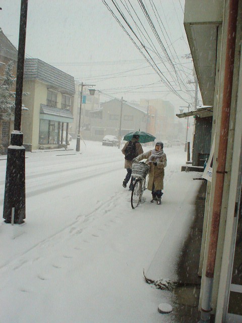 昨日は雪　やはり2月ですね_d0039111_10375718.jpg
