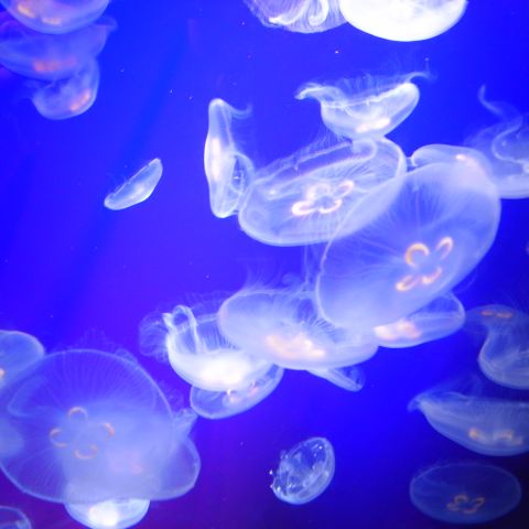 ホワイトバランスすげえ_d0018714_1461137.jpg