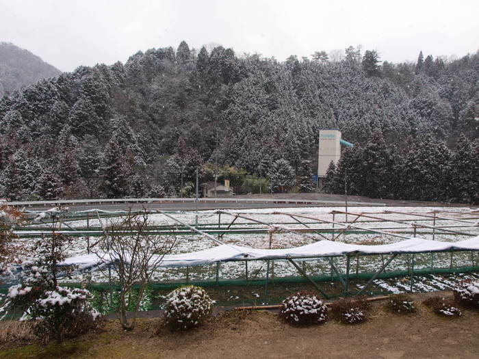 再び雪景色_c0116915_12185557.jpg