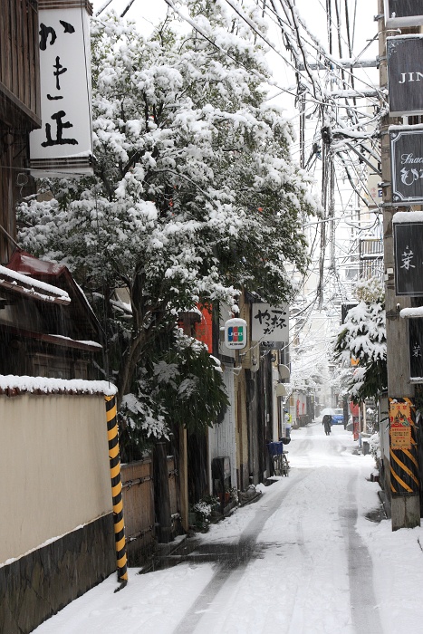雪降る街_b0128621_20474451.jpg