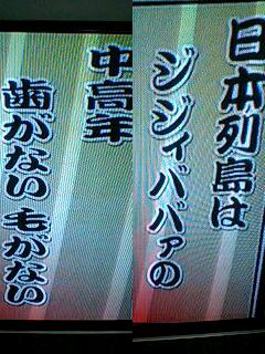 ２月１８日（水）。君はＮＨＫを見たか？　ドクダミだよ。_e0059834_2155555.jpg