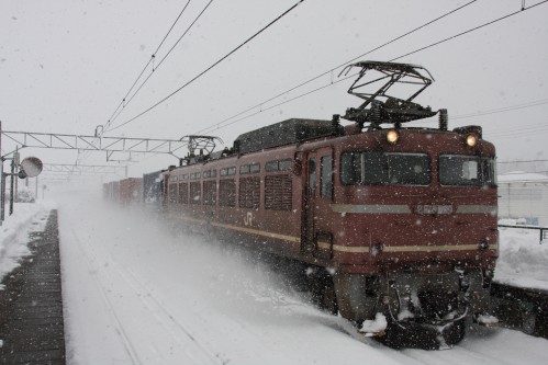 久々の大雪と米坂線_e0148237_22164937.jpg