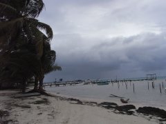 b0154940_63492.jpg