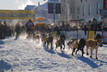 Yukon Quest　《ユーコン・クエスト》_f0145348_16979.jpg