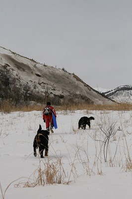 a0109450_0341011.jpg