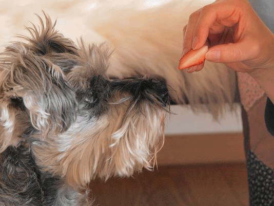 c0145250_12454040.gif