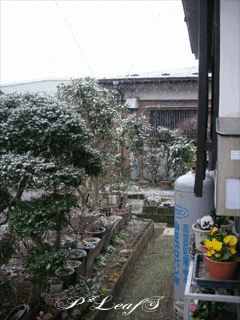 小春日和 と 冬景色_c0176651_138168.gif