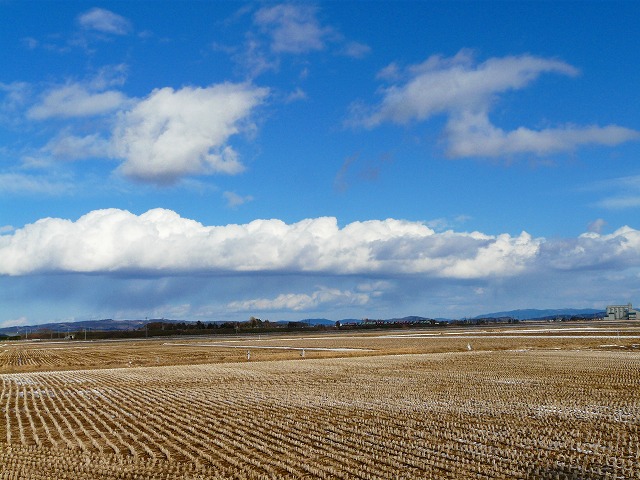 春の空～～？_d0041158_835321.jpg