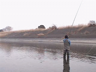 f0084561_17175031.gif