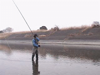 f0084561_17205171.gif