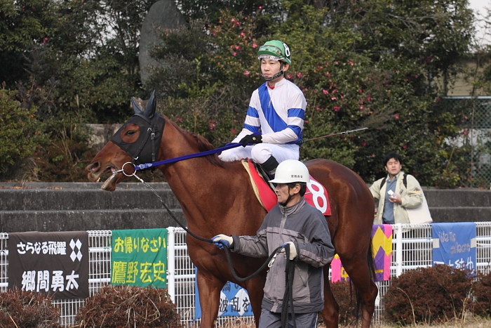 2009年1月12日（月） 高知競馬 6R 成人の日特別_a0077663_191406.jpg