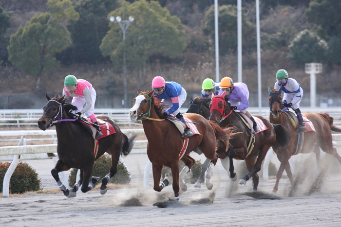 2009年1月12日（月） 高知競馬 6R 成人の日特別_a0077663_1915635.jpg