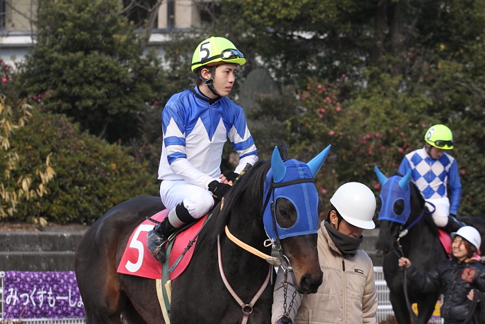 2009年1月12日(月) 高知競馬 6R 成人の日特別_a0077663_191834.jpg