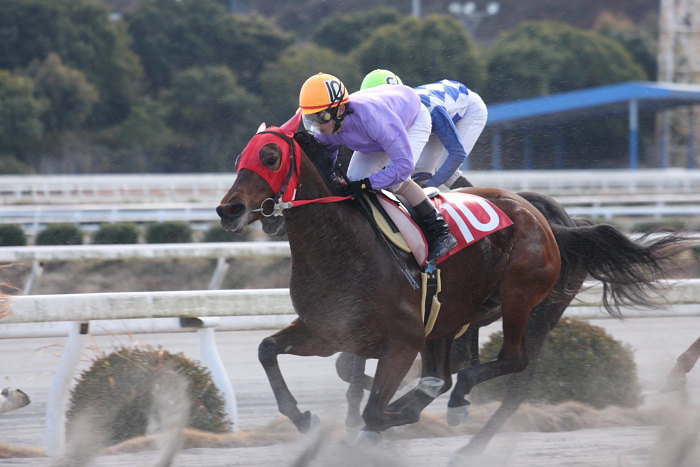 2009年1月12日（月） 高知競馬 6R 成人の日特別_a0077663_1921234.jpg