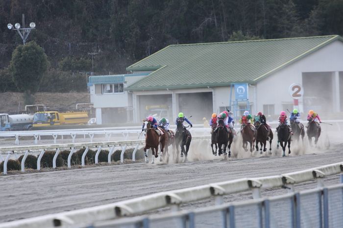 2009年1月12日（月） 高知競馬 6R 成人の日特別_a0077663_1923315.jpg