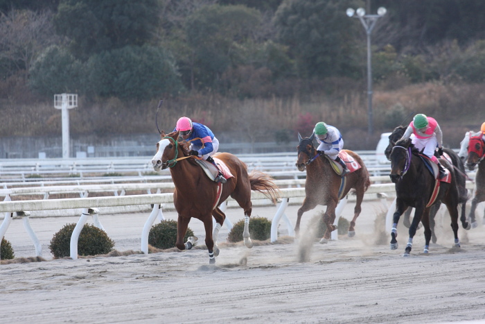 2009年1月12日（月） 高知競馬 6R 成人の日特別_a0077663_1925462.jpg