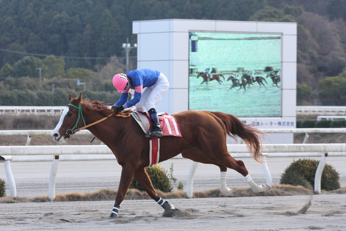 2009年1月12日(月) 高知競馬 6R 成人の日特別_a0077663_1931223.jpg