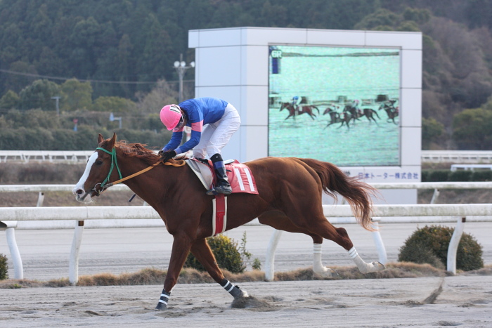 2009年1月12日（月） 高知競馬 6R 成人の日特別_a0077663_1931223.jpg