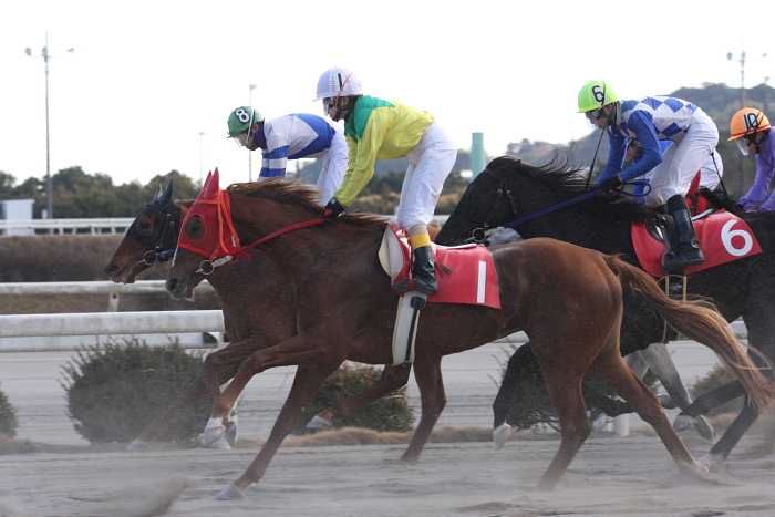 2009年1月12日(月) 高知競馬 6R 成人の日特別_a0077663_1933261.jpg