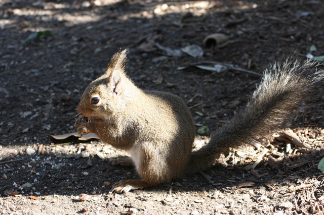 東山動物園④・・・ふれあい_d0149663_11101240.jpg