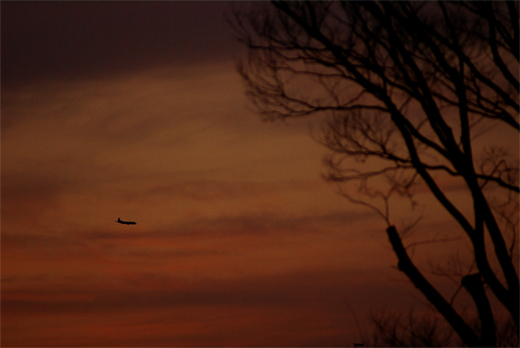 0218　空のお客さま（2）夕景に_e0150566_21493386.jpg