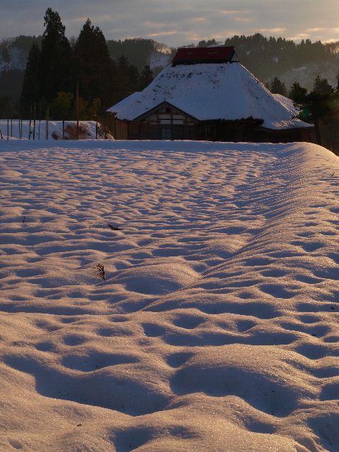 2008年、年末の様子_a0025576_19271989.jpg