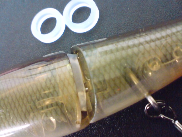 セナー_a0040876_1626985.jpg