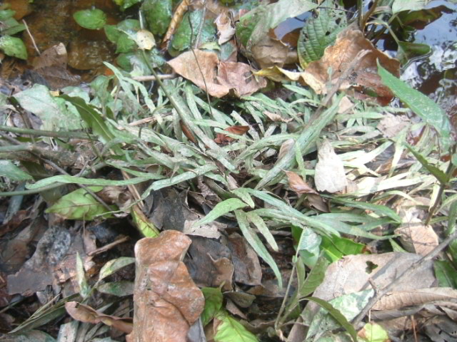 a0067578_04611.jpg