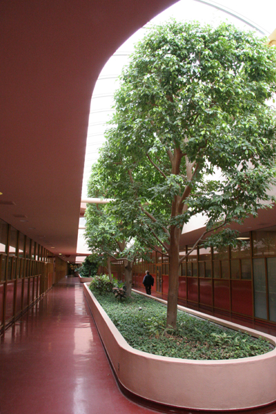 134 マリン郡庁舎 Marin County Civic Center 1957 F Ll Wright San Rafael California Usa No 23 55 近代建築ゼミ Modern Architecture