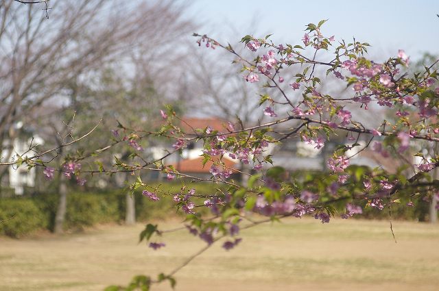 e0070891_18101930.jpg