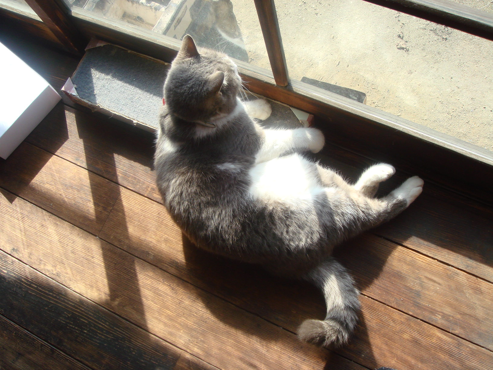c0006904_17103313.jpg