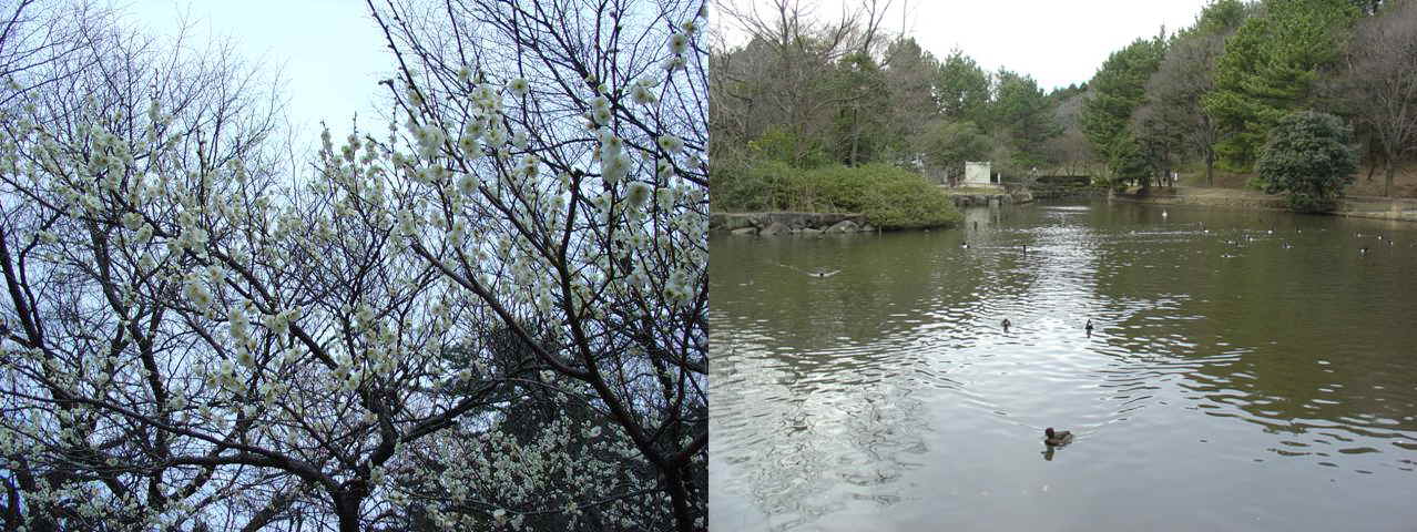 e0138005_23303949.jpg