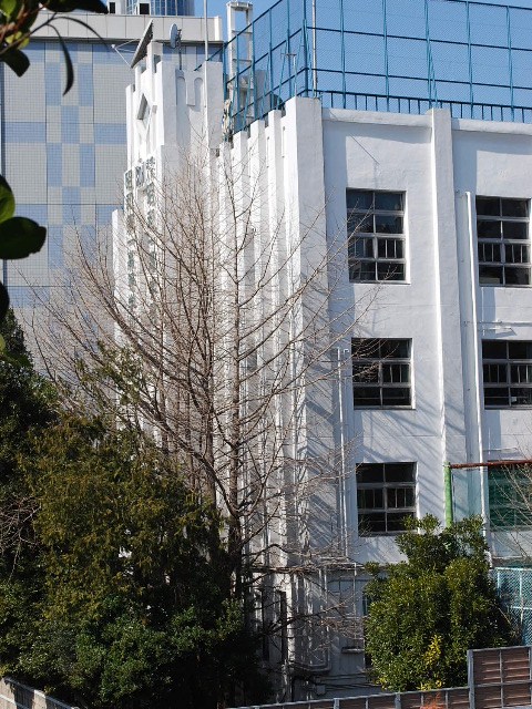 東京・昭和第一高等学校(建築家・木田保造作品探訪)_f0142606_2130543.jpg