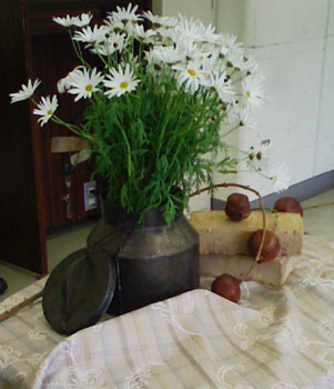 蕗のとう通信22 2009年2月19日(木)_b0129807_2227228.jpg