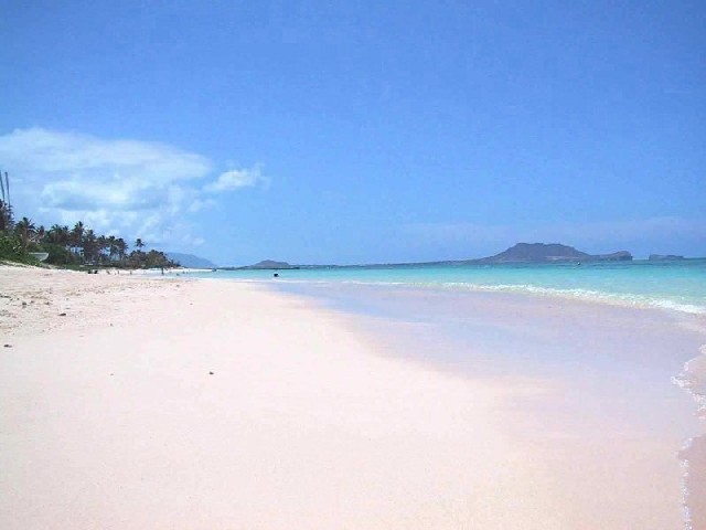 a0105809_1736177.jpg