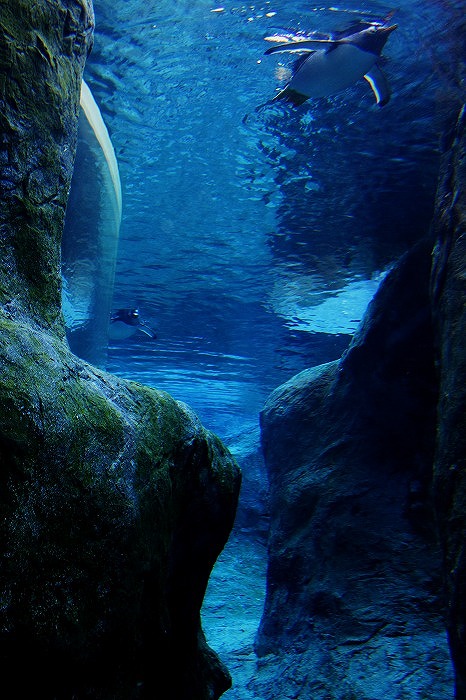 f0139911_20888.jpg