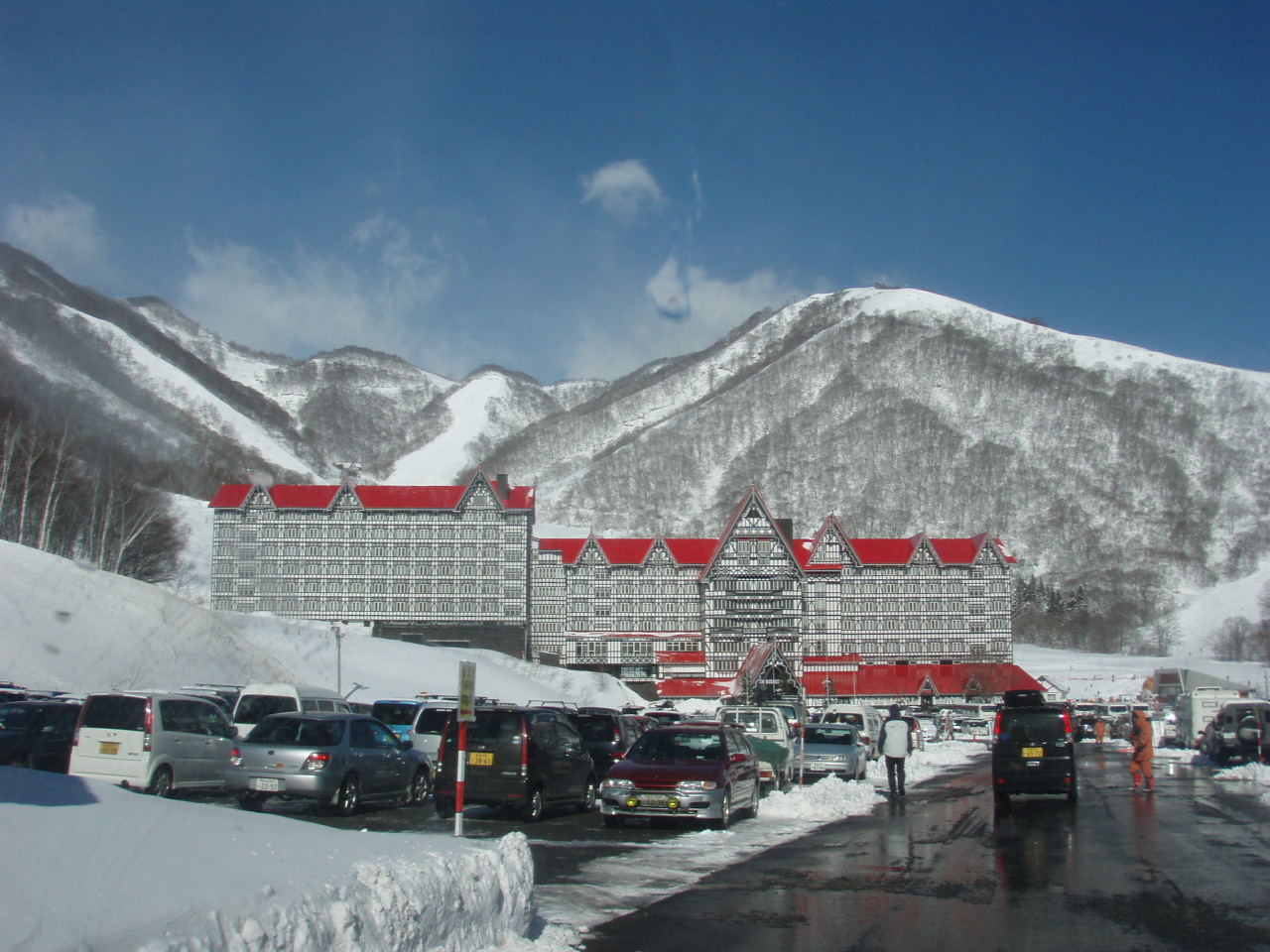 e0067218_8231323.jpg