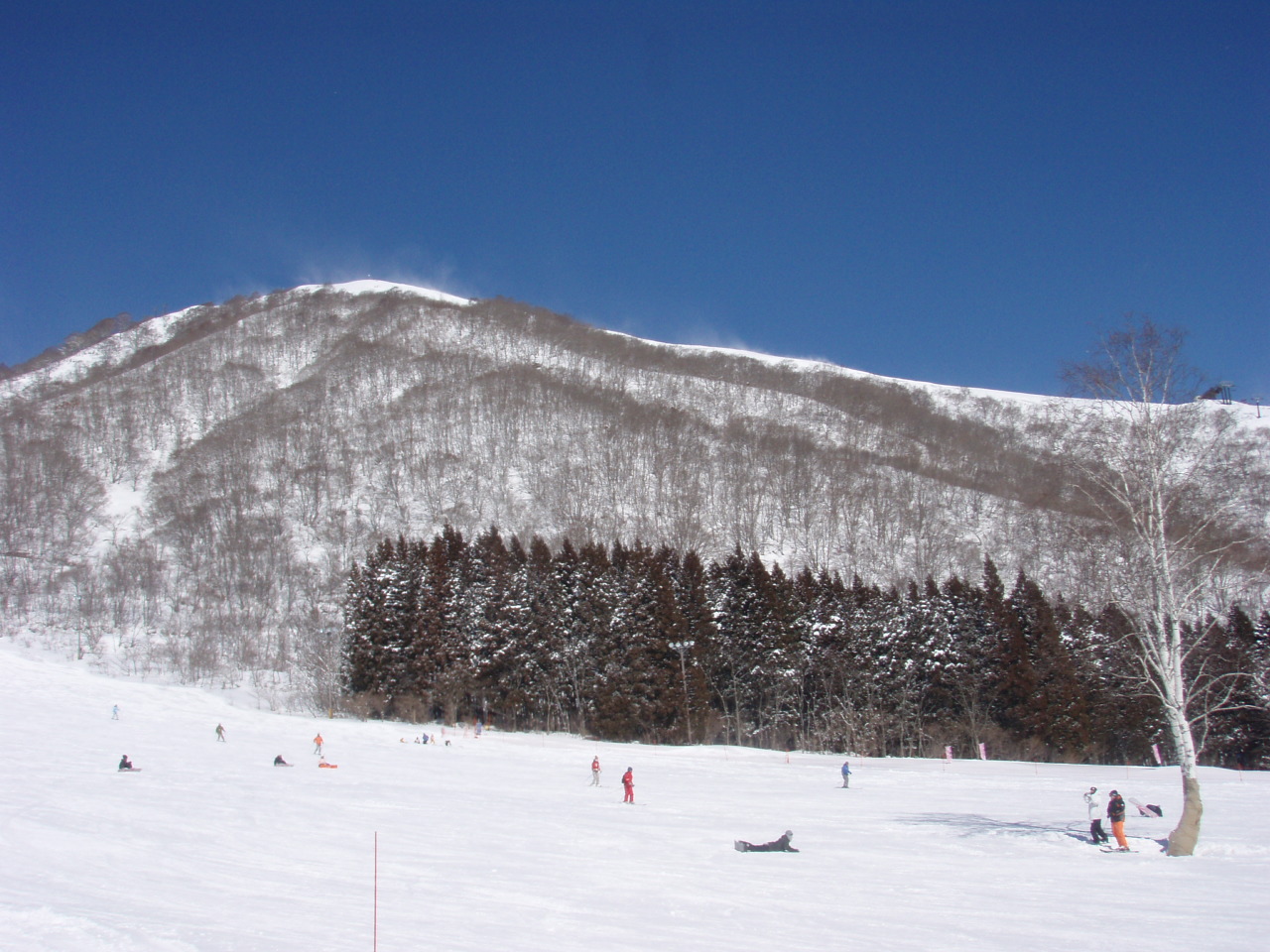 e0067218_8233762.jpg