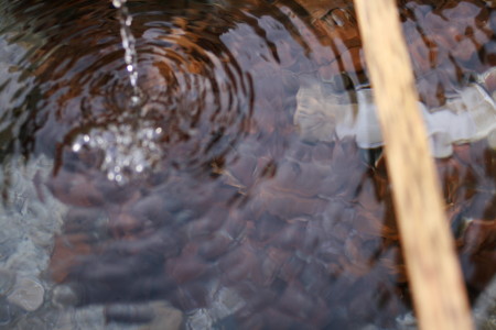 f0097620_180114.jpg