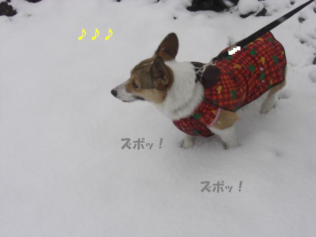 f0182121_10291416.jpg