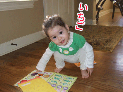 c0151122_11273145.gif